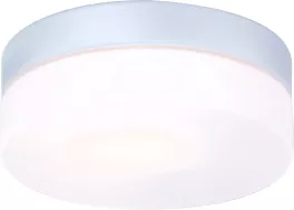 Globo 32111 Влагозащищенный потолочный светильник ,ванная